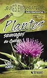 Plantes sauvages du Québec : guide d'identification /