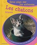 Les chatons fripons /